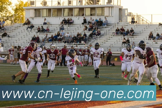 乐竞体育平台生态图